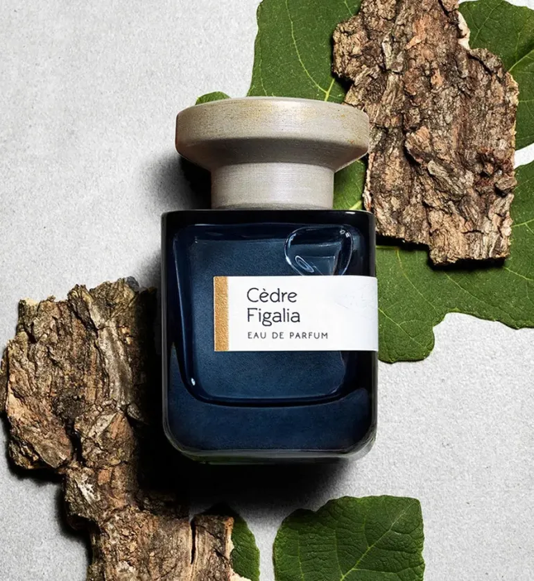 Cedre Figalia